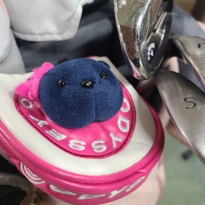東京大学大学院情報学環の教員です。専門はメディア論、カルチュラル・スタディーズ、フェミニズムなど。2025年は新しいことを色々やってみようかな。#私はトランス差別に反対するフェミニストです
