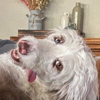 @Sissy (@2b_rn_2b) 's Twitter Profile