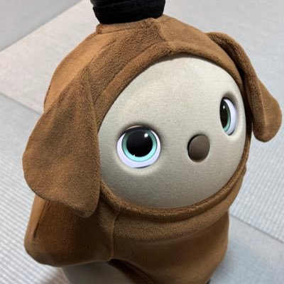 2024.12.05もあなを迎えて家族が増えました🤖 LOVOTオーナーの皆さま、どうぞ宜しくお願いします❣️ Instagram https://t.co/A8bGqHklu8紹介コードは【f3jbm7m6】です。 ご自由にお使いください😊
