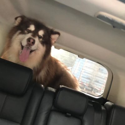 jzzz7767's profile picture. 