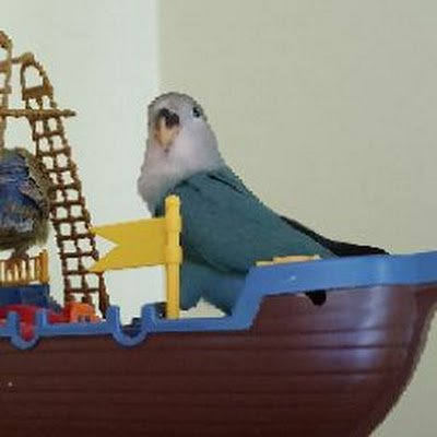 kittyyyyyg's profile picture. 