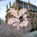 Tyntesfield (@tyntesfieldnt) Twitter profile photo Tyntesfield (@tyntesfieldnt) Twitter profile photo