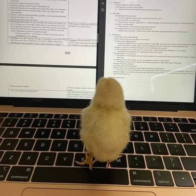 iman_ahm's profile picture. بسم ﷲ الرحمـٰن الرحيم