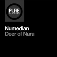 Numedian (@numediian) 's Twitter Profile