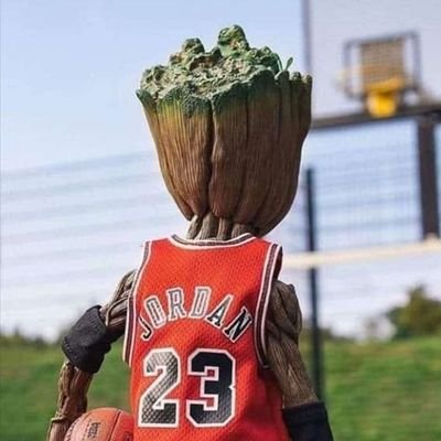 Michatolu's profile picture. lives forever on Solana 🥜