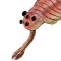 crab (@crabbedup) 's Twitter Profile