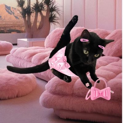 Hai frenz ! i katnisse,. i 9 yeers of olde extremly welthy gorlbosse ! my baba; @umberghauri (non bionery they/them type humon).,
