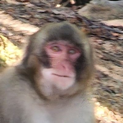 TzDssbm's profile picture. TAMU '23 • Mavs • Aggies • Rangers • Vols