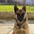drodro98_eth's profile image