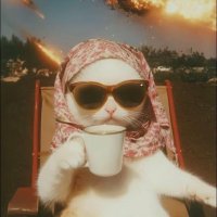 Ayşegül (@eraysgul) Twitter profile photo