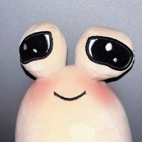 Agente Pou (@presopoulitico) 's Twitter Profile Photo Agente Pou (@presopoulitico) 's Twitter Profile Photo