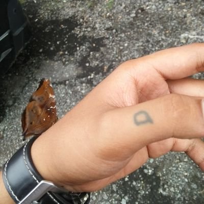 Ananda_Rizky23's profile picture. Alhamdulillah for everything💙