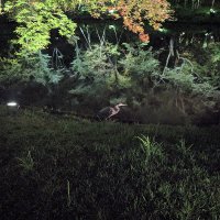 Jeremy Cheng (@jerrawik) 's Twitter Profile