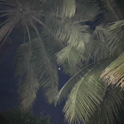 lolled0's profile picture. 