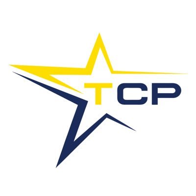 The Champion Project Profile