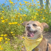 Concerned San Diegan (@improvesandiego) 's Twitter Profile Photo Concerned San Diegan (@improvesandiego) 's Twitter Profile Photo