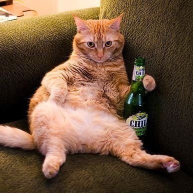 Tems_5096's profile picture. Sigo buena mierda