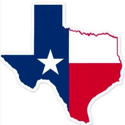 Collin County ⭐️ Texas Democrats Profile
