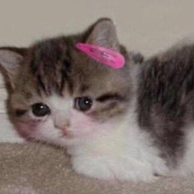 cingirakliyay's profile picture. 175, 83, 28, sarışın, doyumsuz, biseks tek erkek