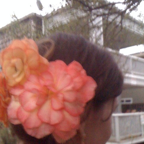 eilbmobile's profile picture. 