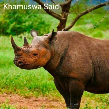 KhamuswaS's profile picture. 