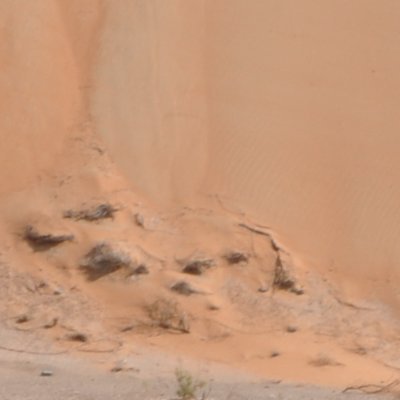 abd_alblooshi74's profile picture. 