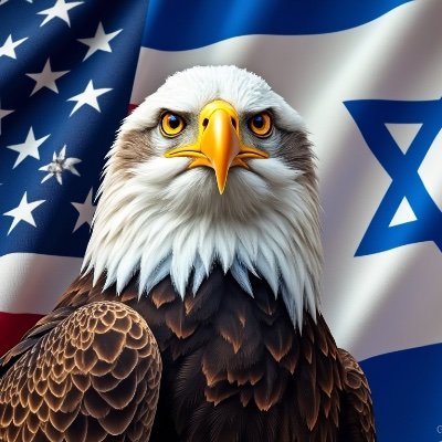 PROUD American Zionist Jew
#StandWithIsrael 🇮🇱 #MAGA 🇺🇸 #JewsForTrump 🇺🇸 #LetThemGo🎗️
👑 HASHEM IS KING! 👑 עם ישראל חי
📲 Backup @USAZionist18