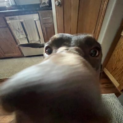abigaill_clara's profile picture. i just work here