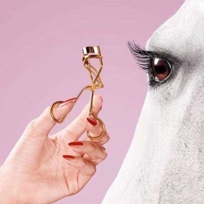 srsrx93's profile picture. 🇰🇼-🇶🇦