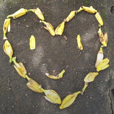 idiotdaya's profile picture. A nobody. 🌻