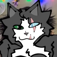 Fancy (follows back) (@fancythesecond) 's Twitter Profile