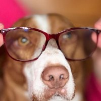 Remo (@remo_) 's Twitter Profile Photo Remo (@remo_) 's Twitter Profile Photo