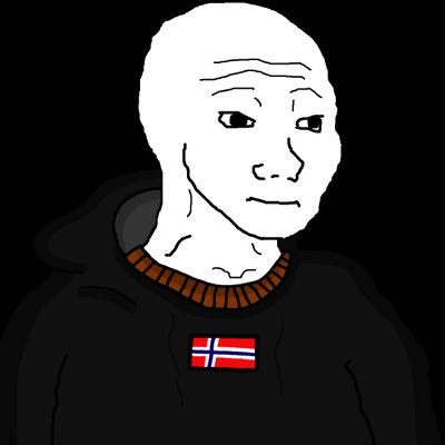 avgmalenorway's profile picture. Average male from Norway.
Tesla model 3.
#Norgesdemokratene