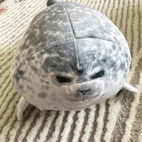 Celestine 🦭 (@03_stellarune) 's Twitter Profile Photo Celestine 🦭 (@03_stellarune) 's Twitter Profile Photo