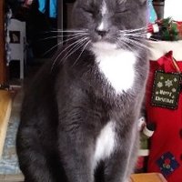 Doug T (@dougt743670) 's Twitter Profile