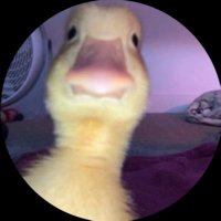 wtj evol (@evolbtw) 's Twitter Profile
