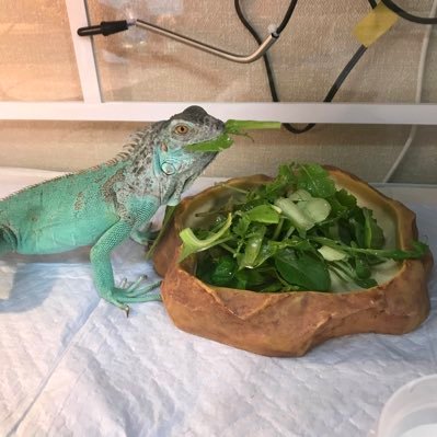 Tyo1G1HSOFGP2OT's profile picture. 