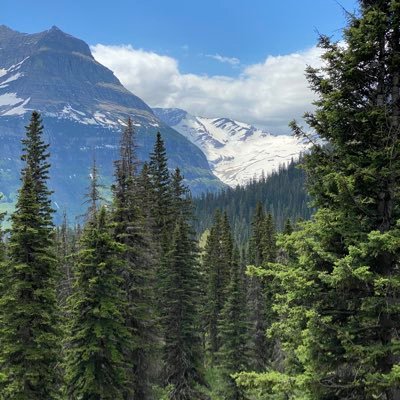 smi77070884's profile picture. 