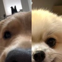 เต้าหู้ชาซิวไอติมอูนิจ๊วดจ๊วด (@00klinglingorm) 's Twitter Profile