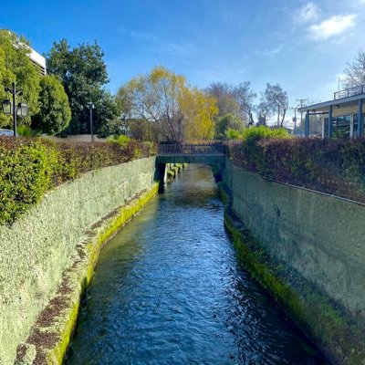 wladimirpd1990's profile picture. #Livesimply