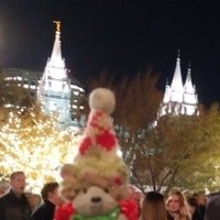 Happy New Camper! π©ππ°οΈπΎππ (@capyhamper) 's Twitter Profile