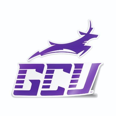 Accountant I Grand Canyon University alum | Commanders enthusiast