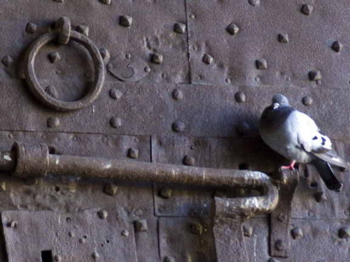 GTLMedicus's profile picture. Sprechstunde
Gesundheitspolitik
Arzt - 
nein, kein Journalist