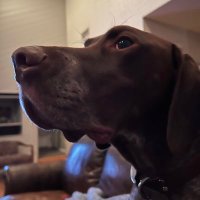 Sean Mulhall (@seanmulhall) 's Twitter Profile