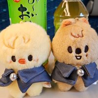 モグモグ😋スキズ生活🐿️🐣🦊 (@sm98tpksibhhqtg) Twitter profile photo