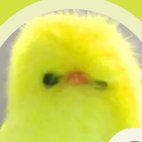 TaeonK59052's profile picture. noob at brawl