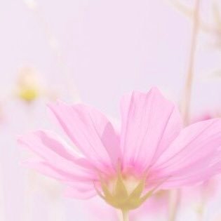 yumidr513_nico's profile picture. STPR BOYSどろっぷくん♡@doroxtupu_2525