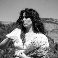 hecetas (@hecetas) 's Twitter Profile