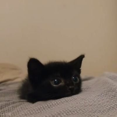 6zuva's profile picture. 🤓