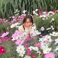 わたがわよりか (@yrk_0416) Twitter profile photo